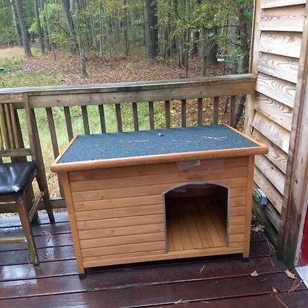 Rustic Quaint Cabin In The Woods--Pets Welcomed Dunnsville Экстерьер фото