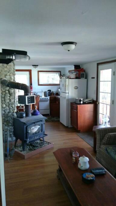 Rustic Quaint Cabin In The Woods--Pets Welcomed Dunnsville Экстерьер фото